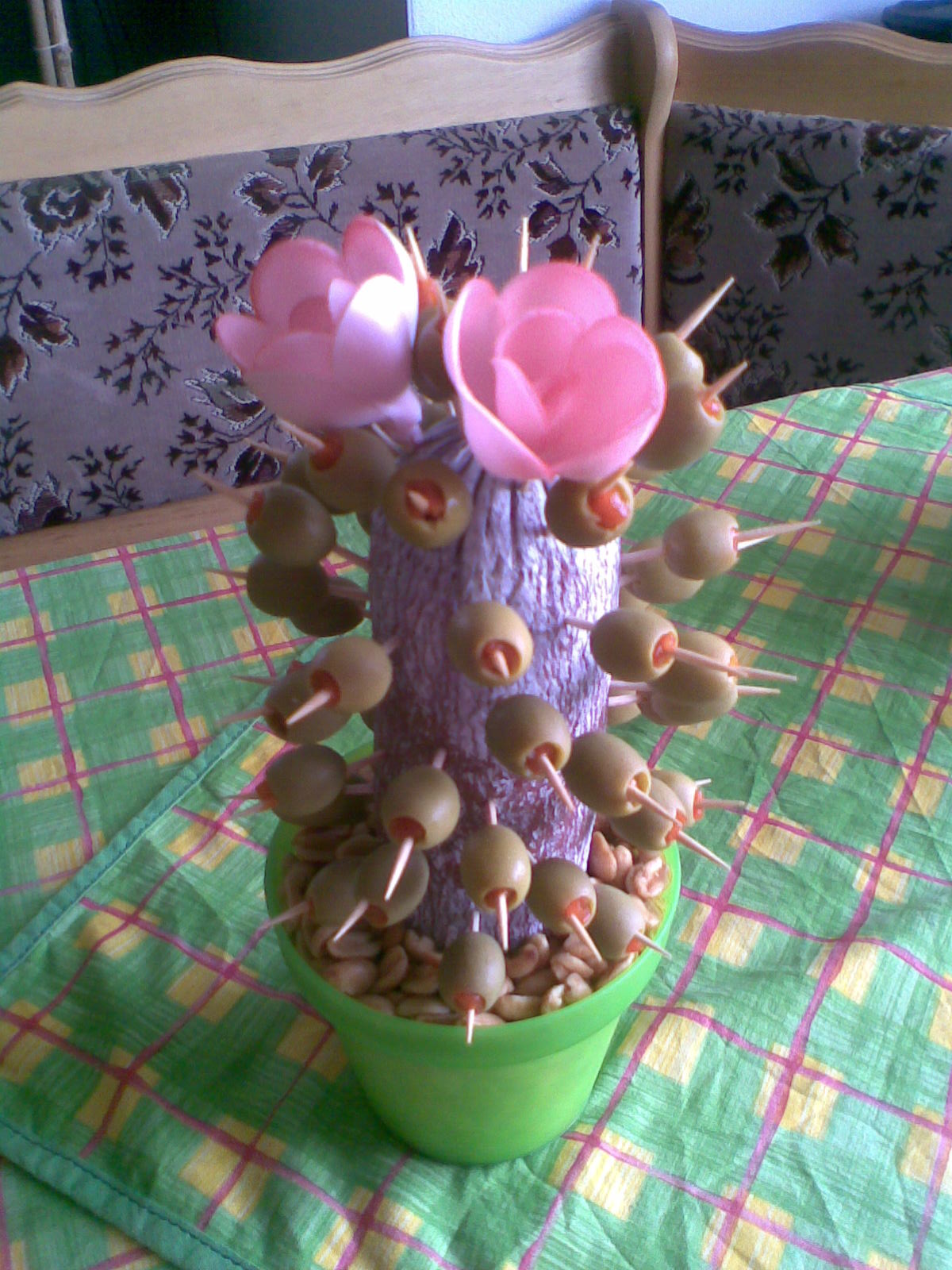 kaktus 3.